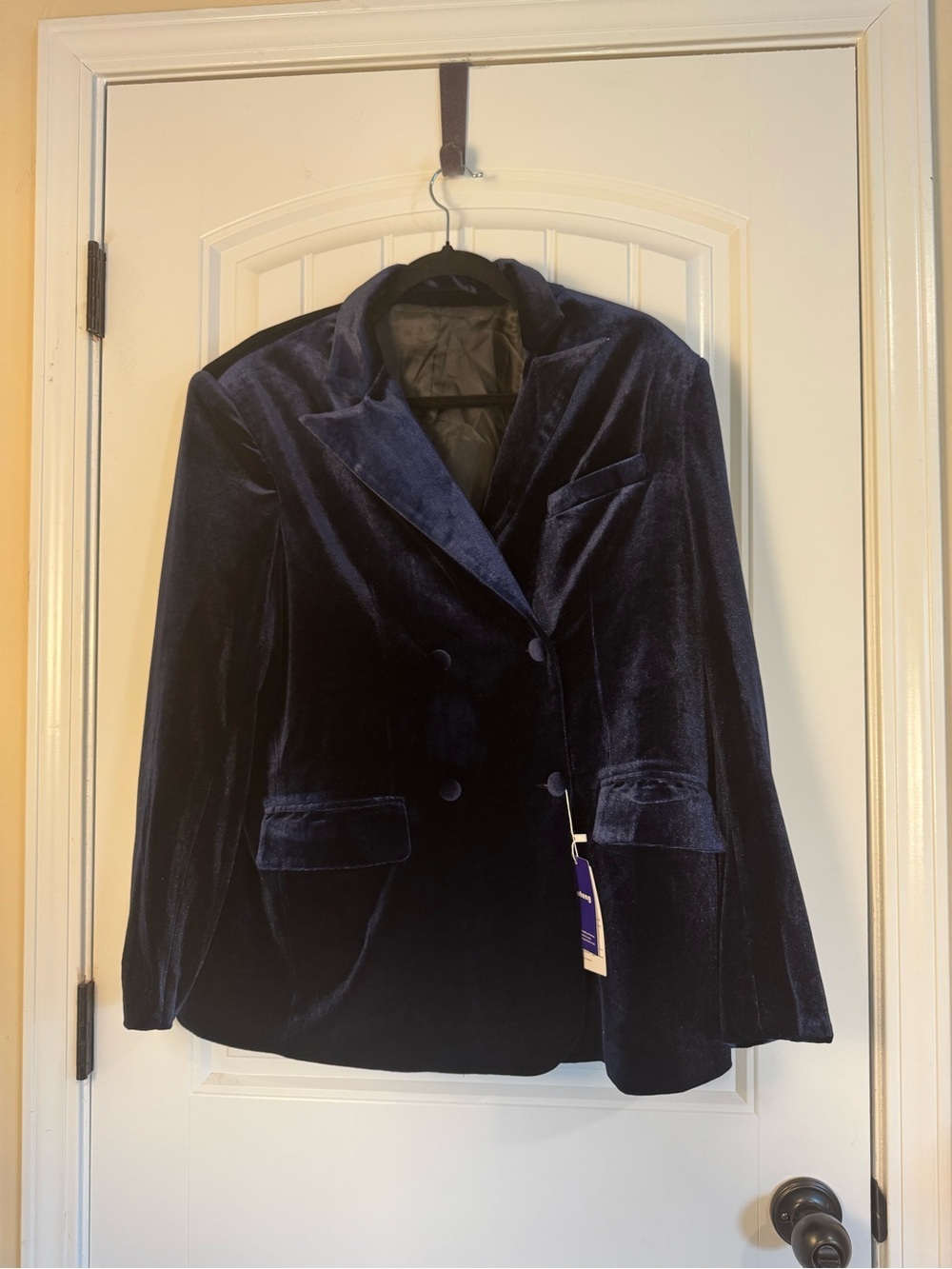 Botong Navy Blue Double Breasted Velvet Blazer NWT